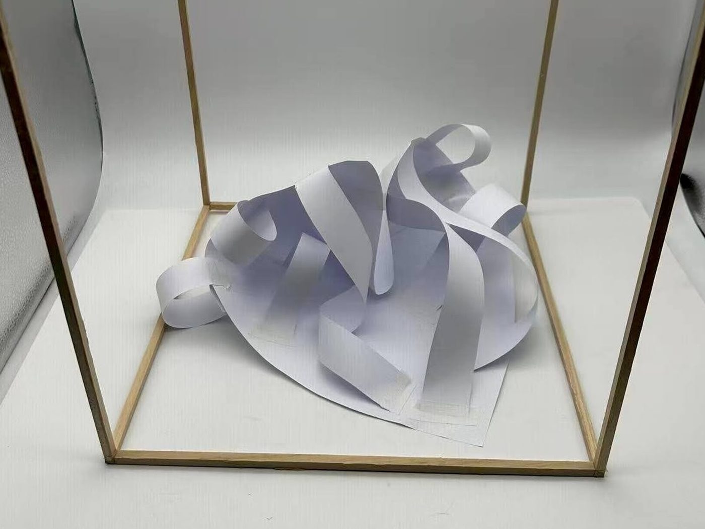 Final paper model